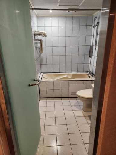 Bathroom 3, Jueqi Business Hotel, Taoyuan