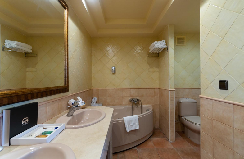 Bathroom 5, MS Amaragua, Málaga