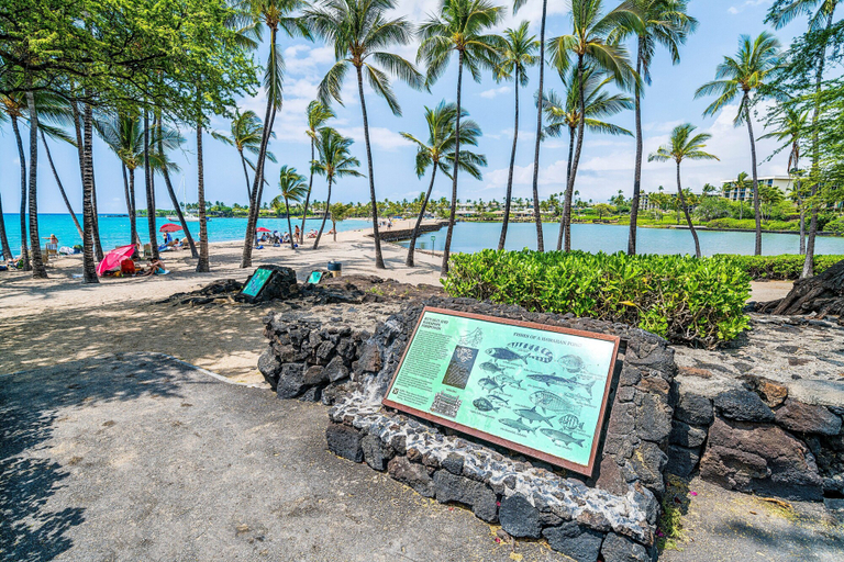 Beach 2, Spacious Ground Floor Villa - Ocean View - Vrkcv, Hawaii