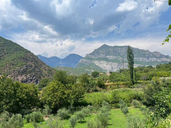 Others 5, Villa Davids, Shkodrës