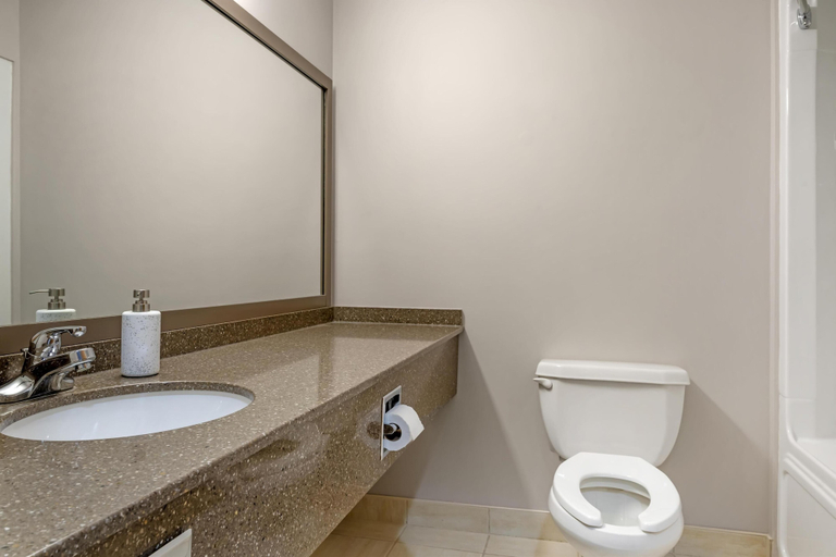 Bathroom 4, Best Western Plus Woodstock Hotel & Conference Centre, Carleton