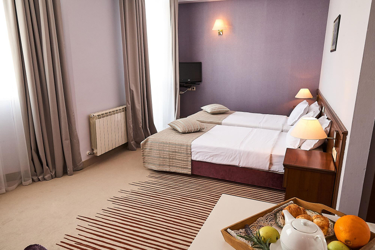 Others 4, Hotel Lion Sofia, Stolichna