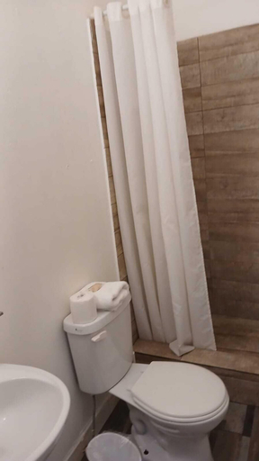 Bathroom, Gladiolas 1103
