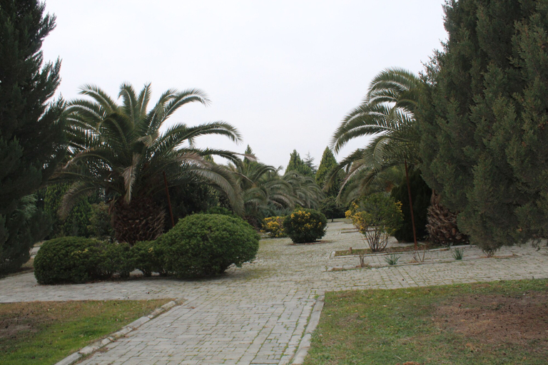 Others 4, Arena Hotel Agdash, Ağdaş