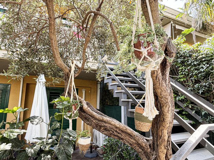 Exterior & Views 2, Sicilian Home Concept B&B, Catania