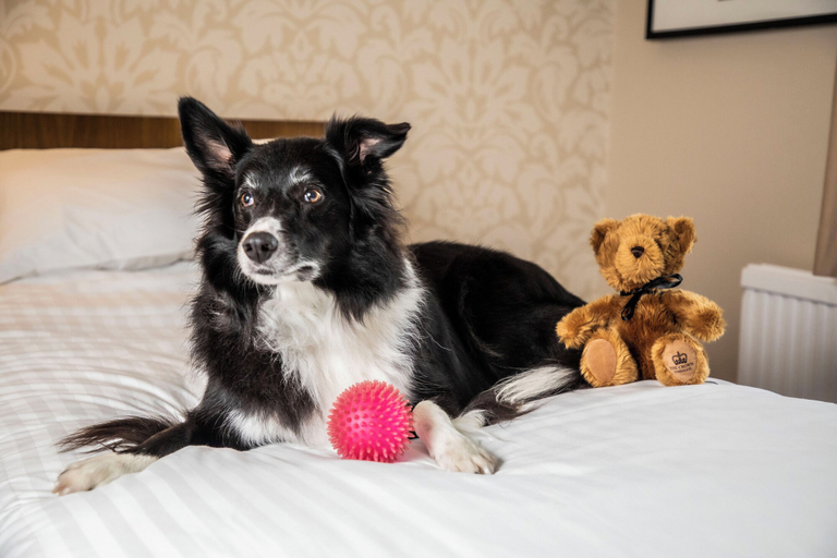 Bedroom 3, Crown Hotel Harrogate, North Yorkshire