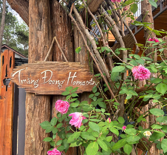 Others 5, T'Măng Đeeng Homestay, Kon Plông
