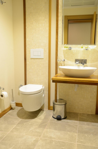 Bathroom 3, KACKAR RESORT HOTEL, Ardeşen