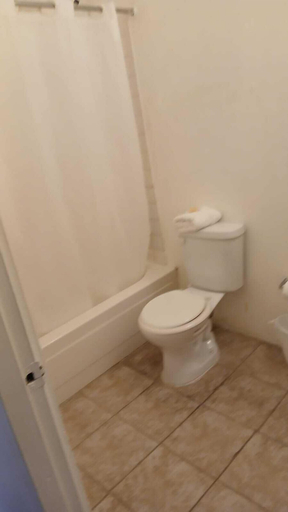 Bathroom 3, Gladiolas 1104