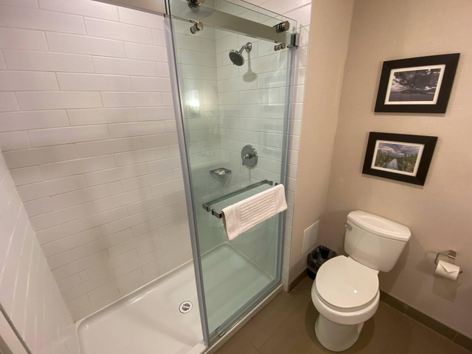 Bathroom 4, Comfort Inn & Suites Valemount - Highway 97, Fraser-Fort George