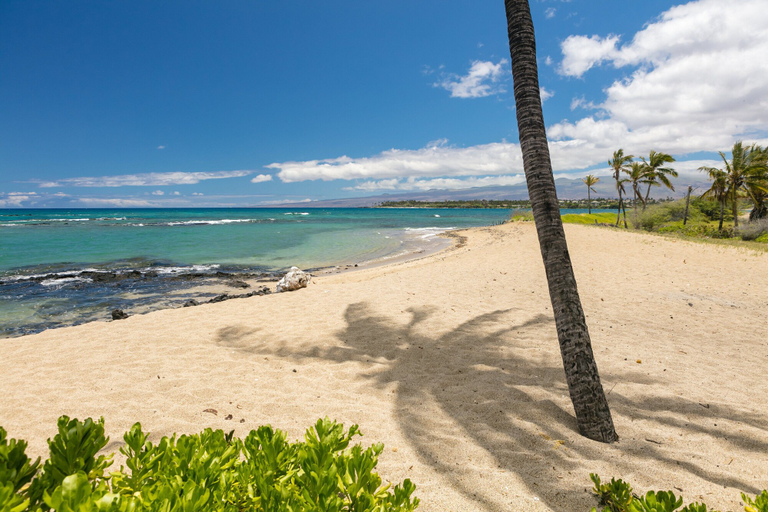 Beach 4, Beautiful Resort - AC - Walk to Beach & Restaurants - Vrkcv, Hawaii