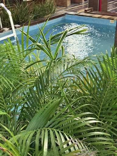 Sport & Beauty 5, Hotel Kavia 5th Avenida, Cozumel
