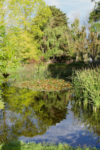 Property grounds 5, Holly Lane Mews, Yarra Ranges - North