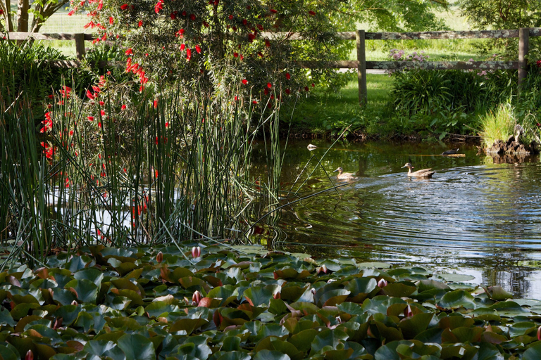 Property grounds 2, Holly Lane Mews, Yarra Ranges - North