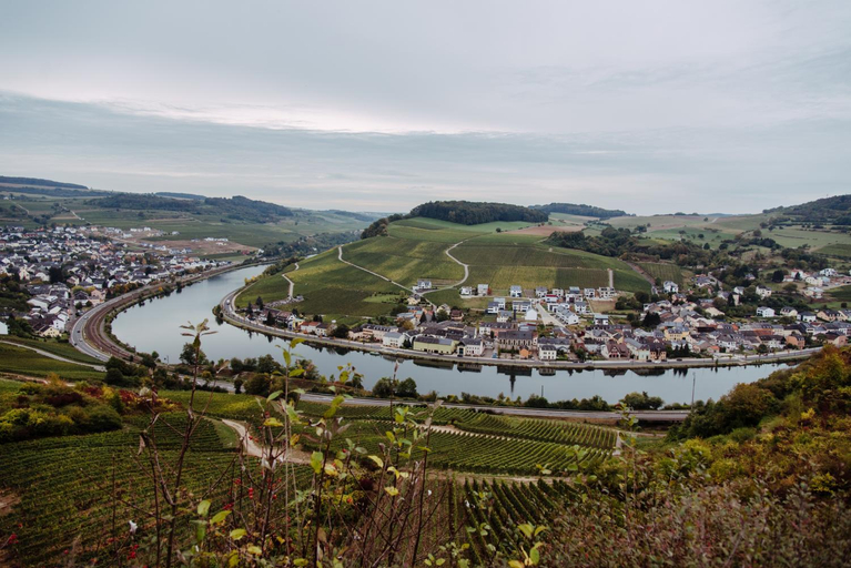 Others 4, Weingut und Gastehaus Zilliken, Trier-Saarburg