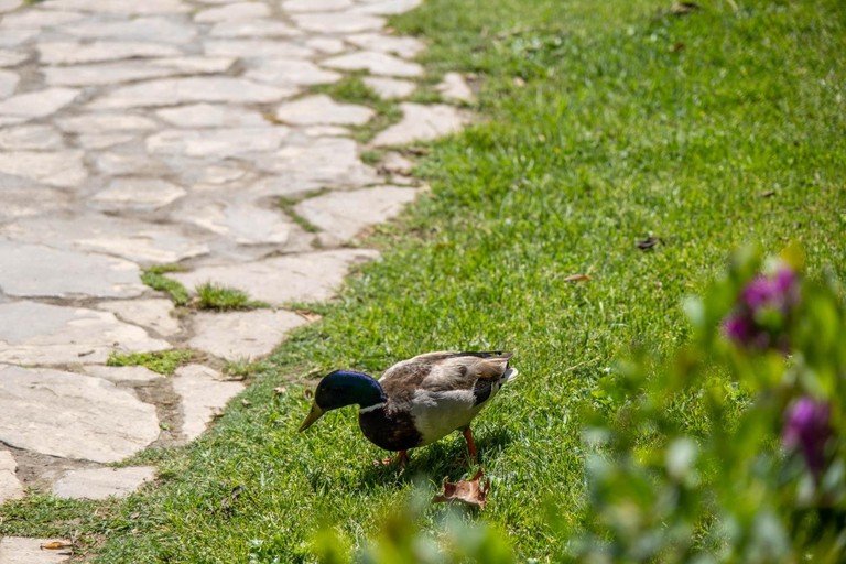 Others 4, Garden & Beach - Torremolinos (Wifi/Parking FREE), Málaga
