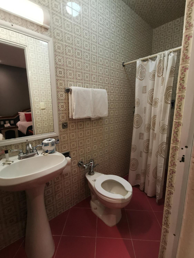 Bathroom 4, Hotel Monarca, Mexico City