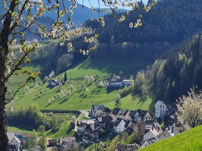 Others 5, Ferienwohnung mit Weinbergblick, Ortenaukreis