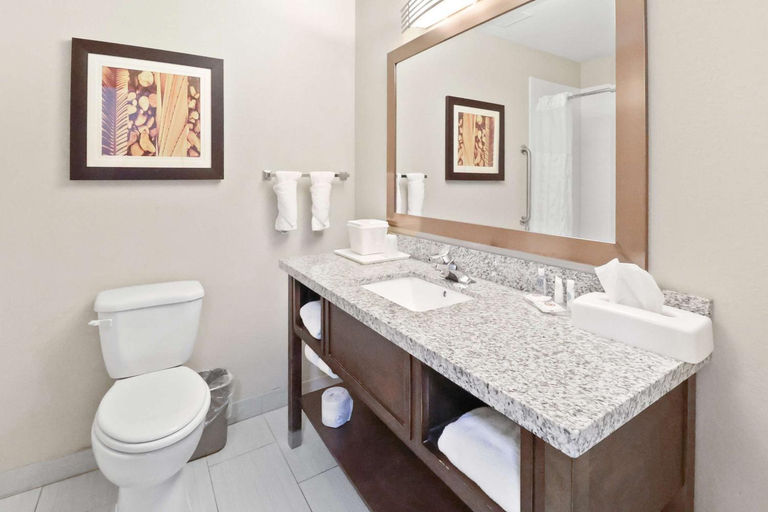 Bathroom 4, Comfort Inn Dunn near I-95, Harnett