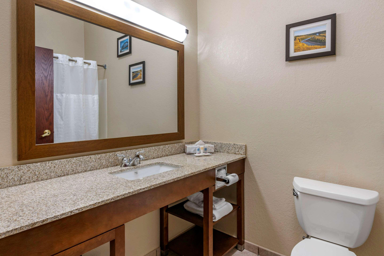 Bedroom 3, Comfort Inn & Suites O'Fallon Area, Saint Charles