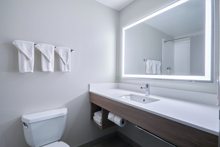 Bathroom 4, Holiday Inn Express & Suites SWIFT CURRENT by IHG, Division No. 8
