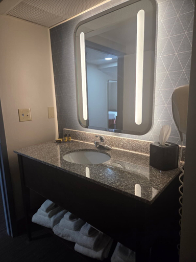 Bathroom 4, Hamilton Inn Bessemer, AL - Birmingham, Jefferson