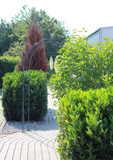 Exterior & Views 2, Gästehaus am Wasserpark, Ortenaukreis