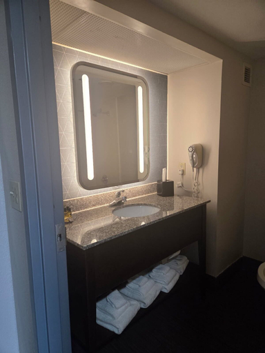 Bathroom 4, Hamilton Inn Bessemer, AL - Birmingham, Jefferson