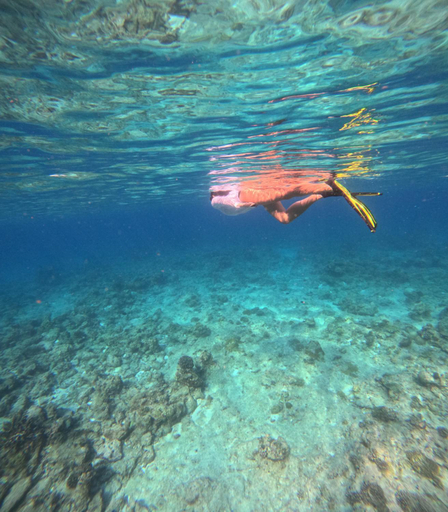 Others 2, Salt Villa Ukulhas                                                                              , North Ari Atoll