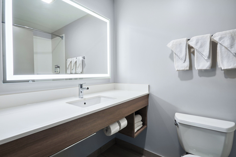 Bathroom 5, Holiday Inn Express & Suites SWIFT CURRENT by IHG, Division No. 8
