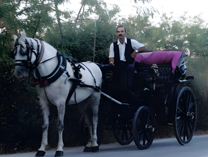 Others 5, Hotel Ilianna, Thessaly