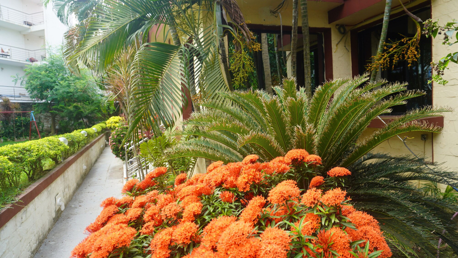Others 5, Hotel Dolphin, Purba Medinipur