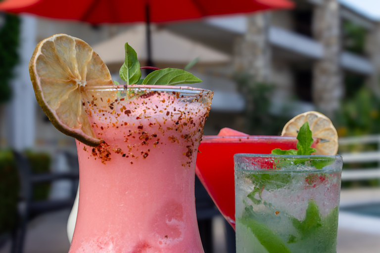 Food & Drinks 3, Hotel Plaza Palenque, Palenque
