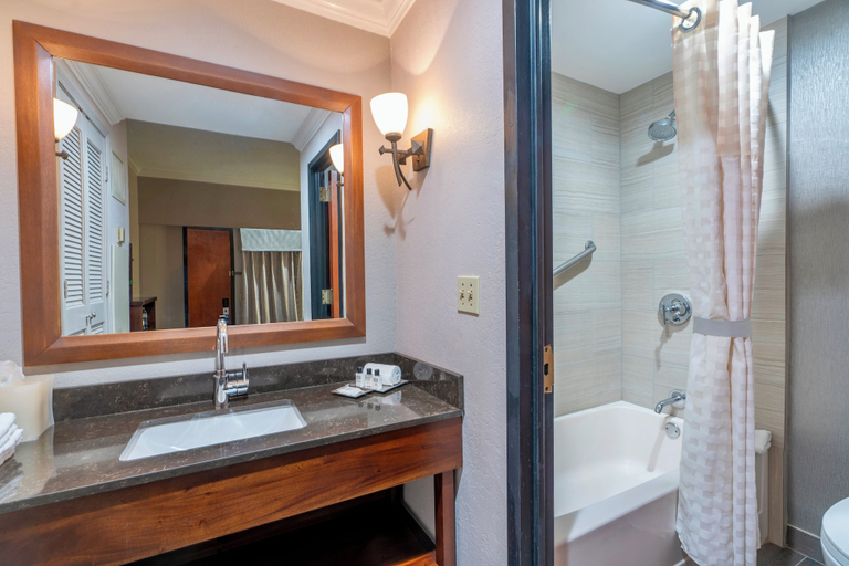 Bathroom 4, Wyndham Garden New Orleans Downtown, Orleans