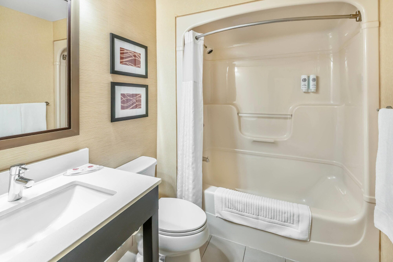 Bathroom 4, Comfort Inn Chatham, Chatham-Kent
