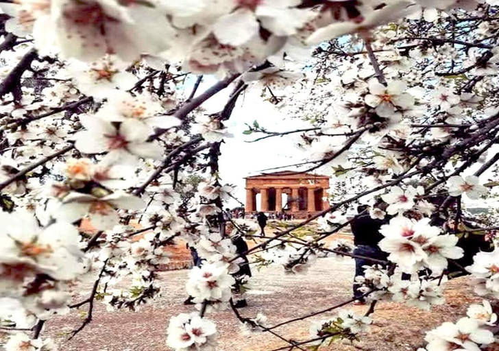 View, Le Giare Agrigento, Agrigento