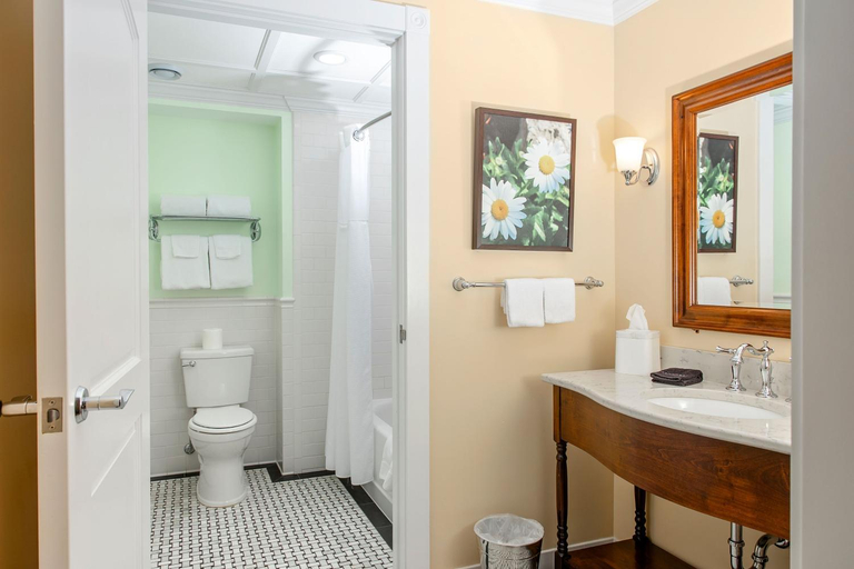 Bathroom 4, Mills Park Hotel, Greene