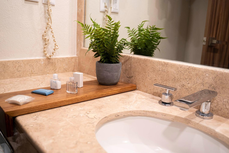 Bathroom 5, Panorama, San Luis Potosí