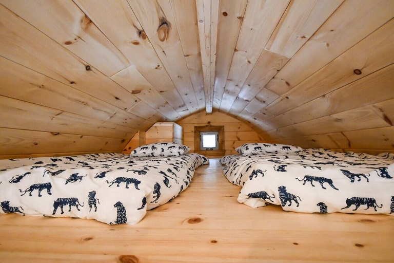 Room 4, Les Boisés de la rivière noire, Matawinie