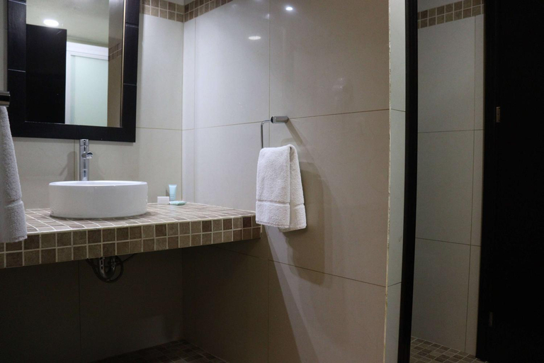 Bathroom 4, Wyndham Garden Aguascalientes Hotel & Casino, Aguascalientes