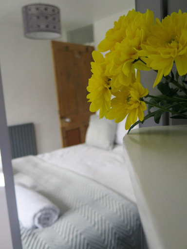 Others 5, Westeria Cottage, Devon