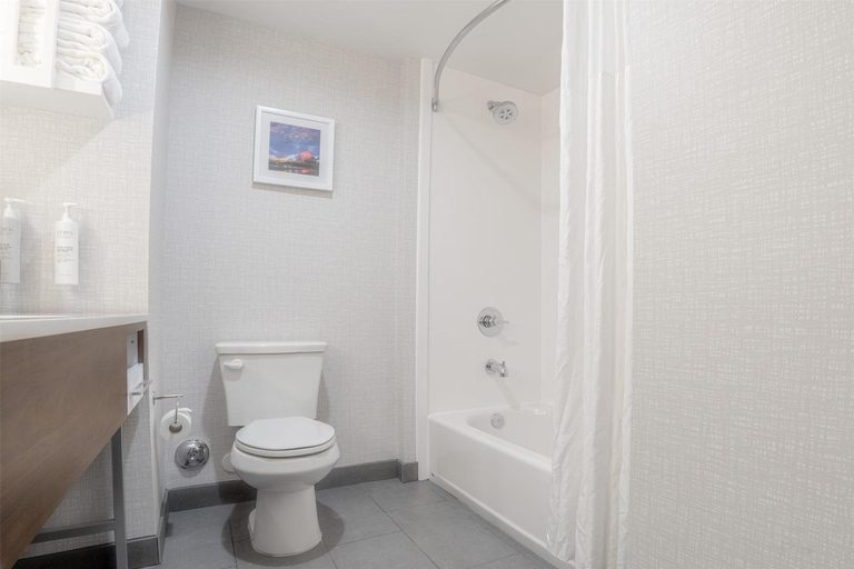 Bathroom 1, Hampton Inn Santa Clarita-Valencia, Los Angeles