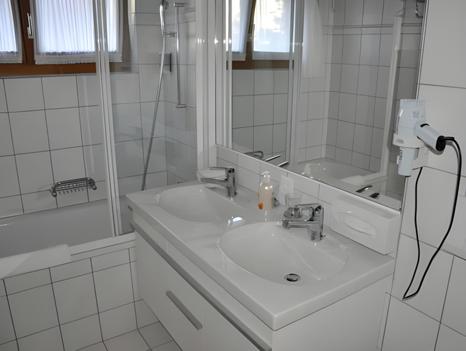Bathroom 2, Alpenresort Eienwaldli Engelberg, Obwalden