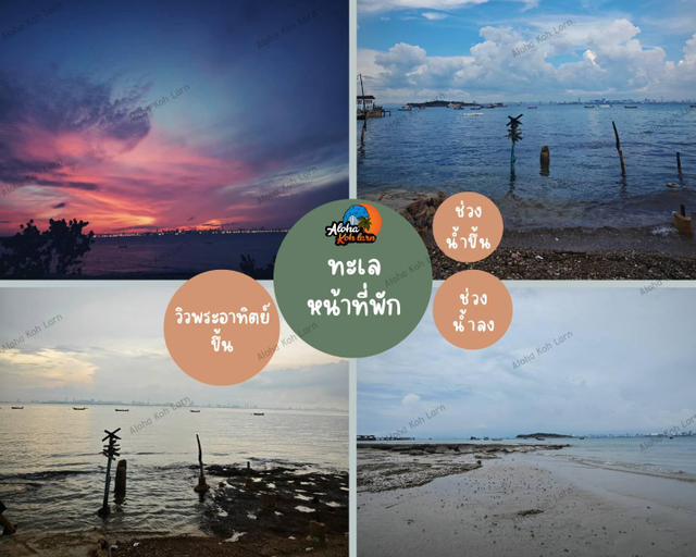 Others 3, Aloha Koh Larn, Pattaya