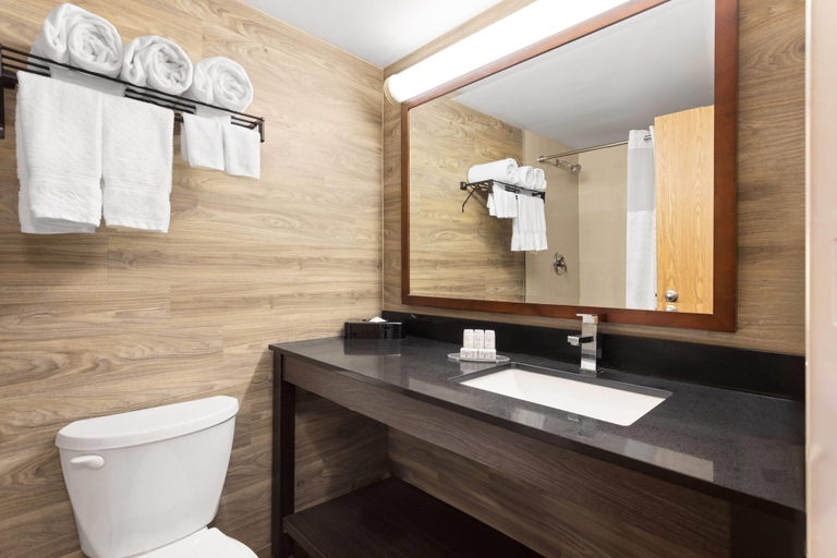 Bathroom 4, Travelodge by Wyndham Lindsay, Kawartha Lakes
