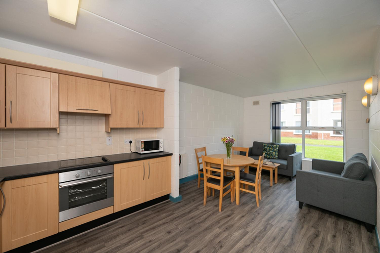 Others 3, Castlewhite Apartments - UCC Summer Beds
