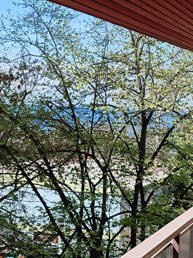 View, Two Big Waterfront Apartments in same Building, Central Macedonia