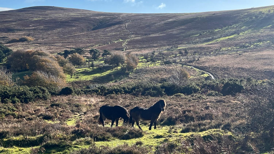 Others 2, Exmoor retreat on Two Moors Way, Somerset