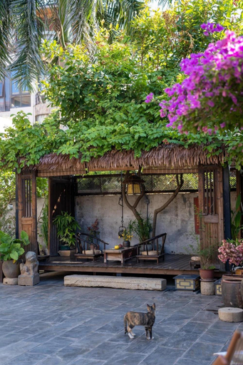 Exterior & Views 1, Redhouse Backpacker Hostel, Đà Lạt