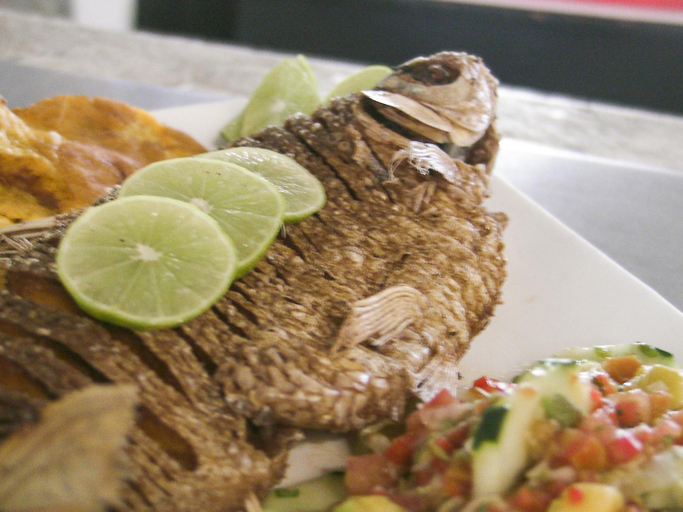 Food & Drinks 5, Hotel Y Restaurante La Quinta, Cartagena de Indias